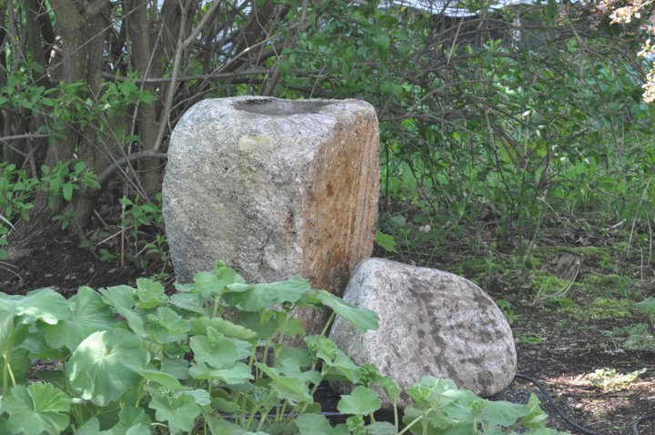 John Mahtab's album, Garden June, 2011