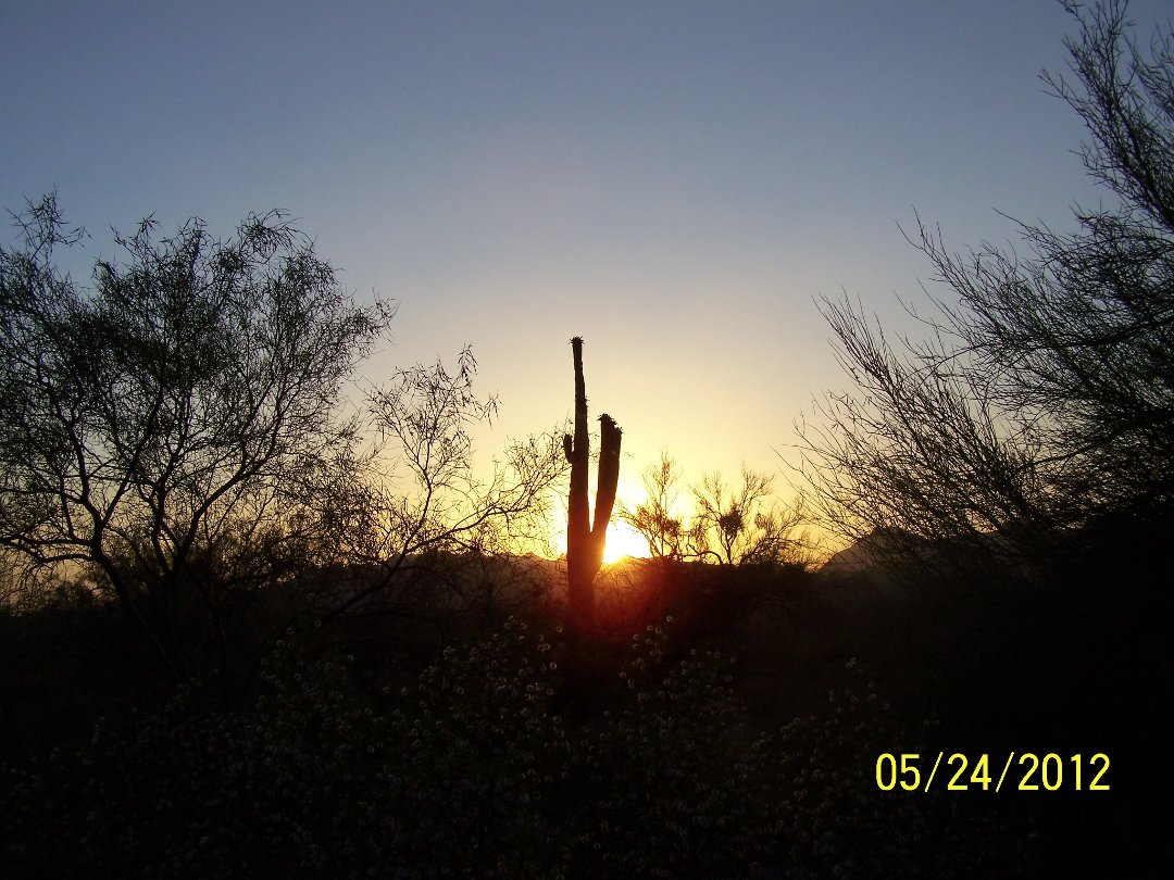Judy Bonshire's album, Cover Photos