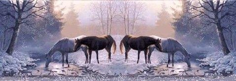 Janice Calvin's album, Cover Photos