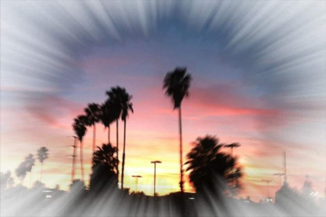 Nancy Courson's album, Mobile Uploads