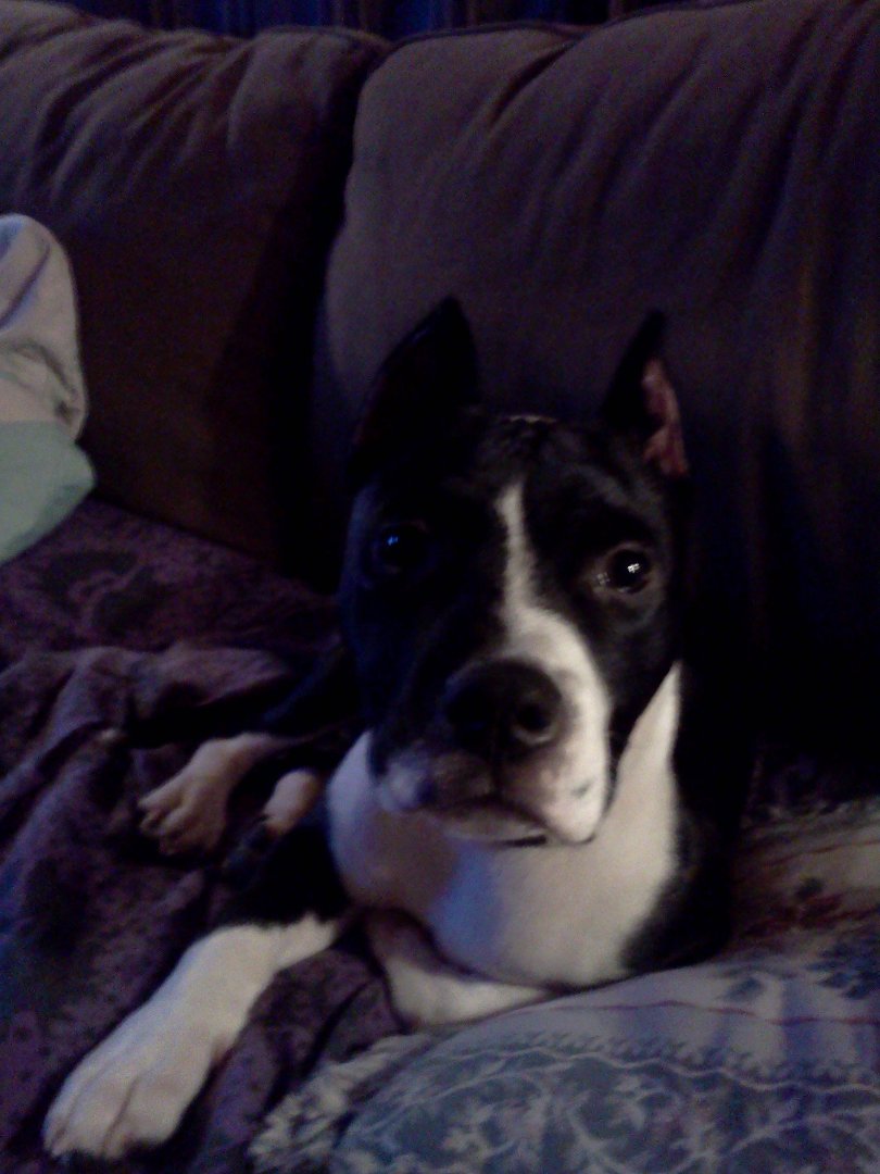 tammy mollet's album, Tammys Pic`s