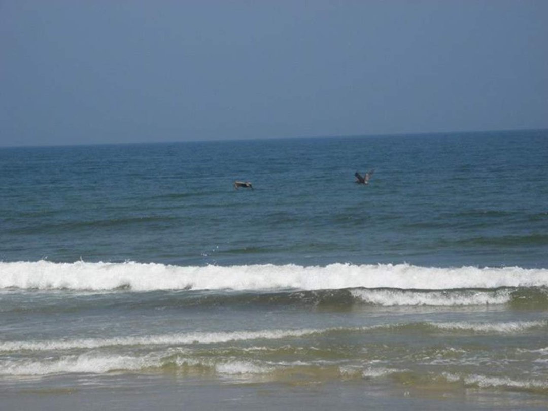 Randy Doss' album, Nags Head August 2012