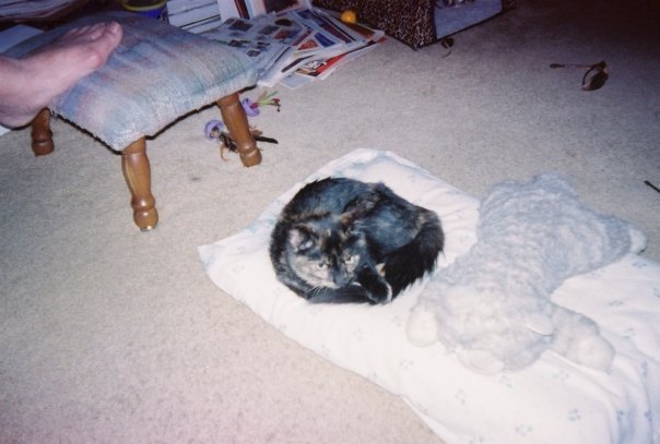 Darlene Dipzinski's album, Ruby
