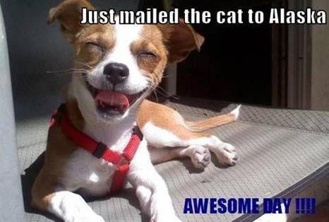 Pedro Carbonell's album, Timeline Photos