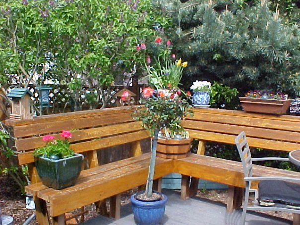Barbara Kent's album, Yard Pictures