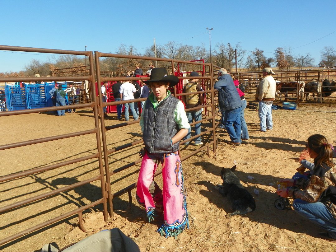 Harry Jacobs' album, bullriding pic