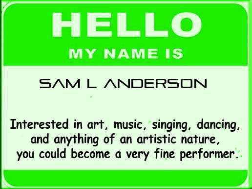 Sam Anderson's album, What does your name say about you?