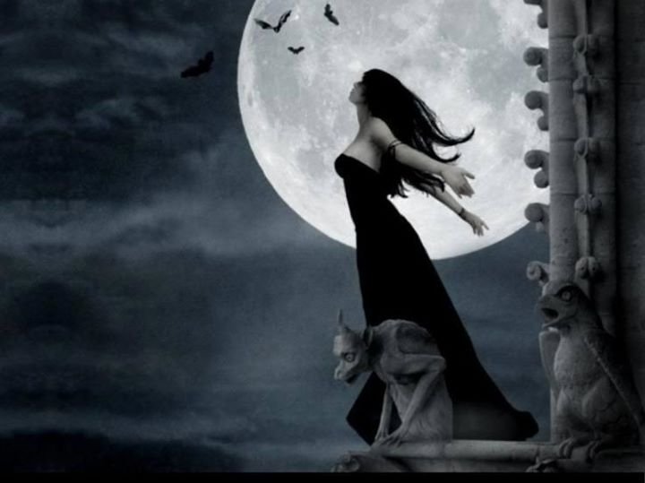 Sandi Neal's album, all halloween, gothic, hearts and roses, and whatever else i lik