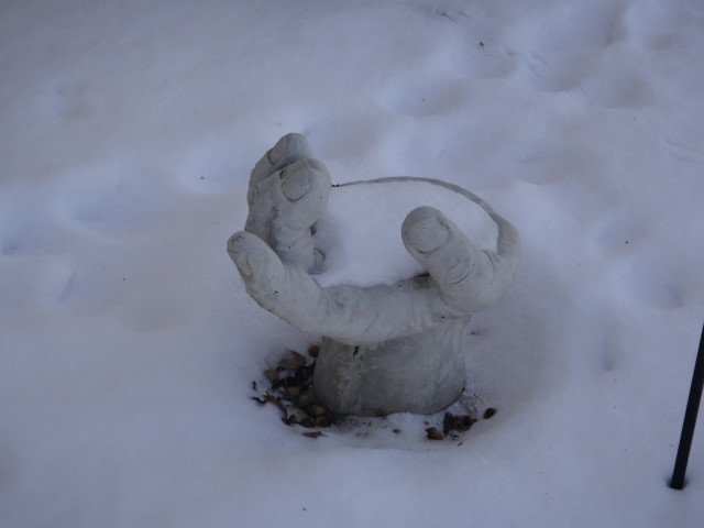 Vicki Alcorn's album, 2-6-2011