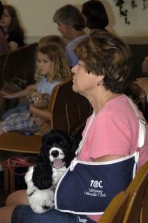 James Needham's album, Pet Blessing 2007
