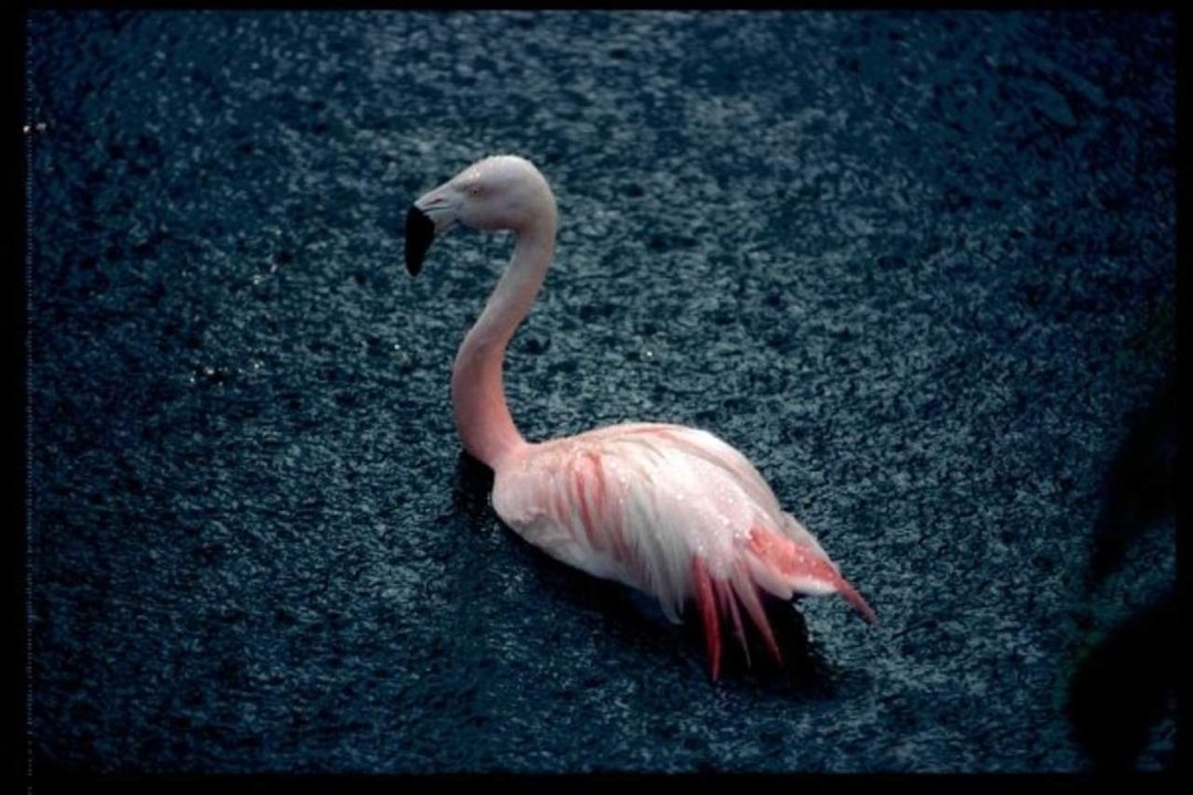 Mark Ferreri's album, Creative artistry #2