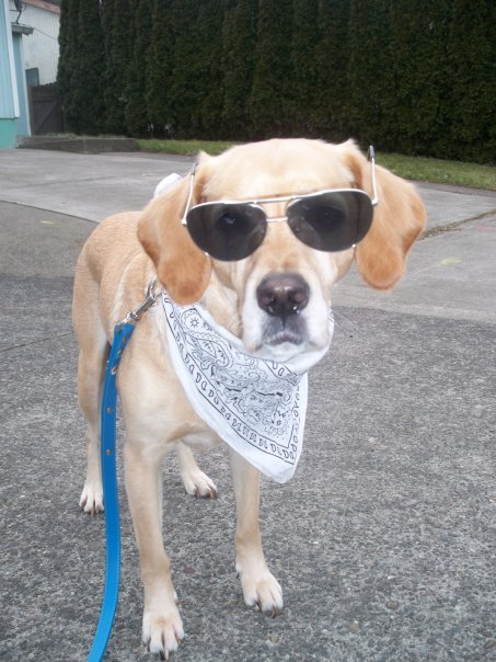 Margo Gibson's album, Best of buddy