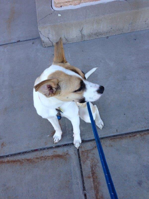 Conston Perry's album, RunKeeper Photos