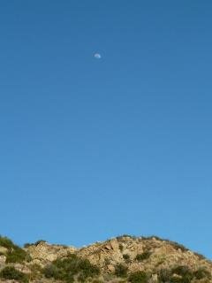 Chuck Coffey's album, The Gorge of Malibu Canyon