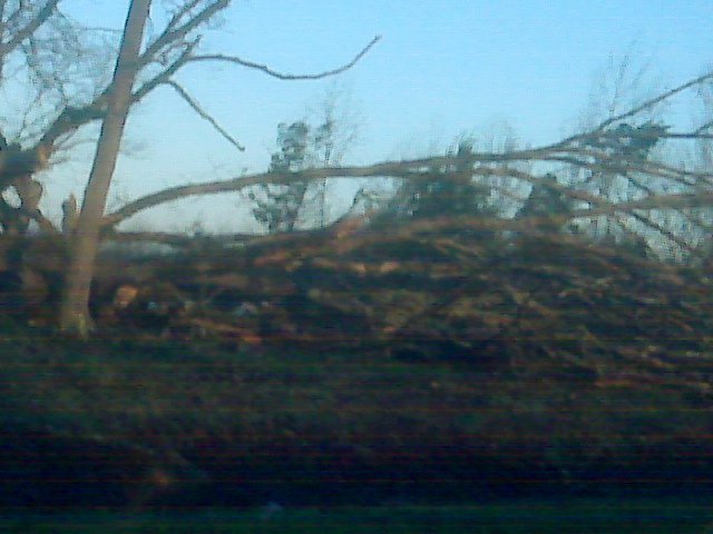 Nelda Goins' album, Tornado 3/24/2011