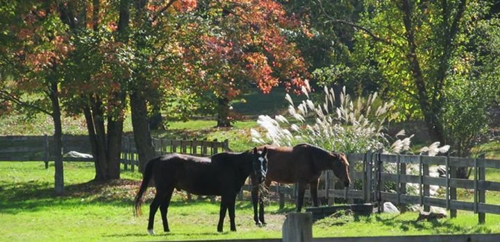Donna Schmidt's album, Cover Photos