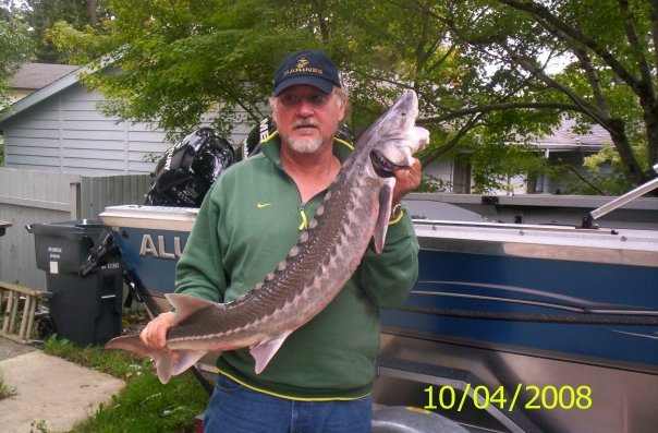David Backer's album, Profile Pictures