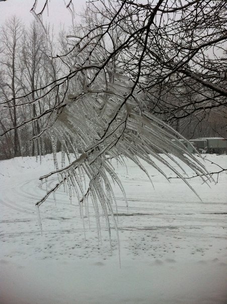 Kevin Corn's album, Feb 5, 2011
