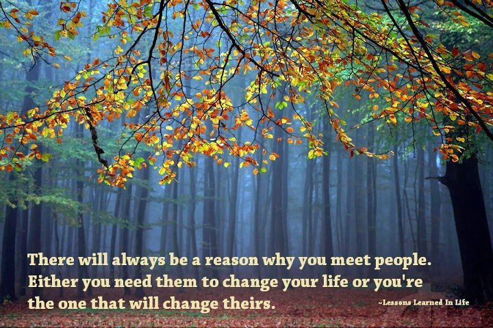 Connie Wilson's album, Mobile Uploads