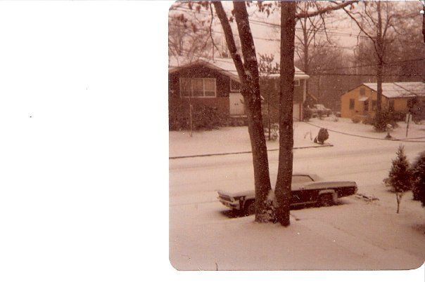 Peg Reenstra (Ruth)'s album, pandas photos