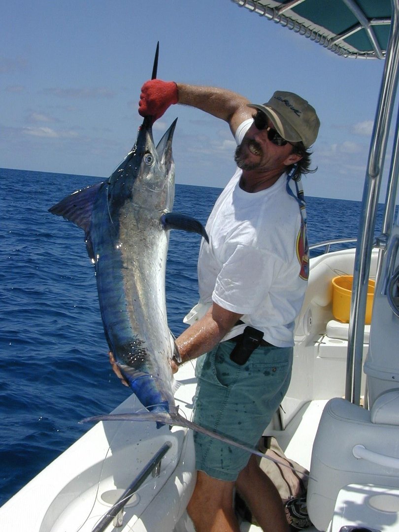 Barry Bailey's album, Profile Pictures