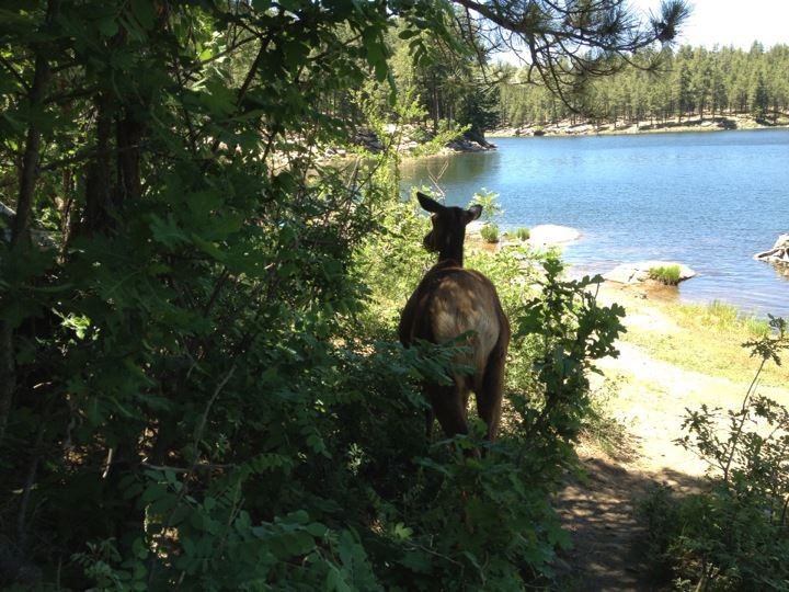 Dennis Robison's album, iOS Photos