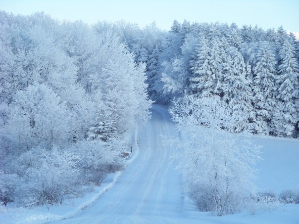 Kathryn Pfendler's album, Snow Day