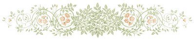 Judith Moore's album, Profile Pictures