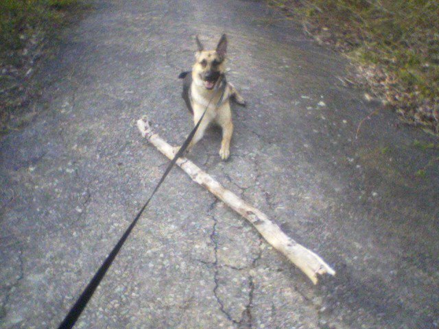 Kenneth Claflin's album, Stormie 2012-2013