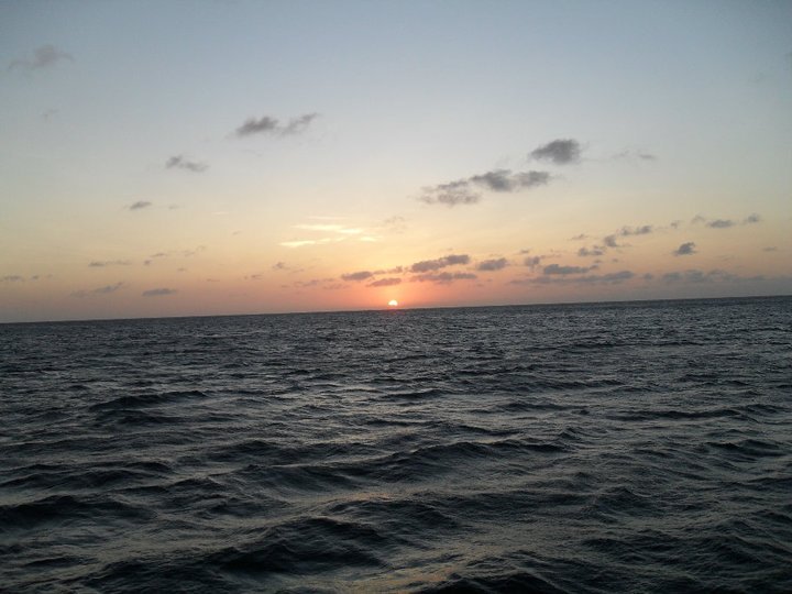 James McGee's album, 2010 Aruba
