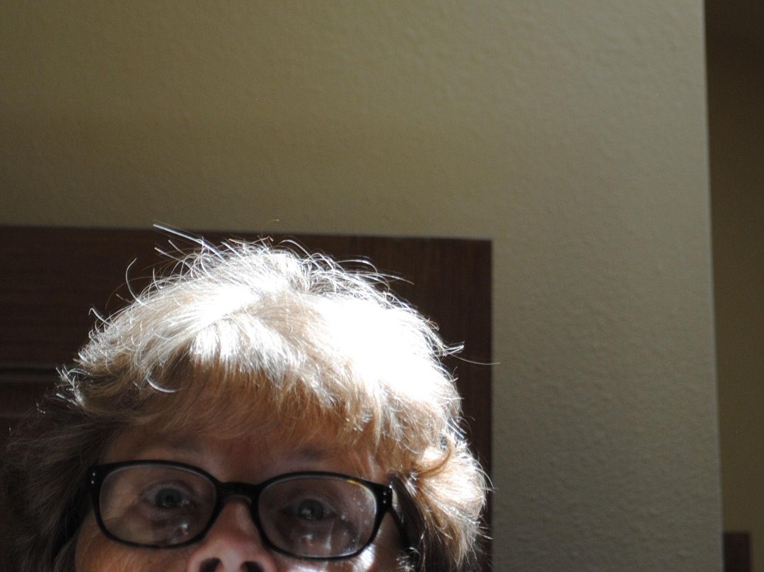 Judith Bailey's album, Cover Photos