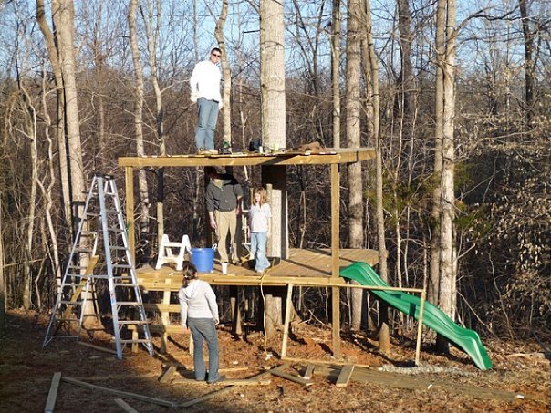 John Warner's album, Treehouse