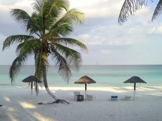 Brian Sutton's album, Cover Photos