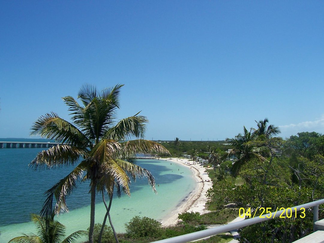 William Neudigate's album, Cover Photos