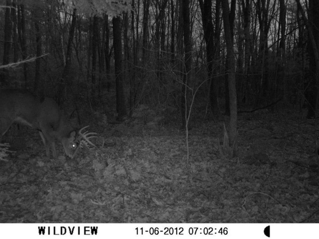 Marc Avery's album, I hope he shows up again when I'm in my stand.