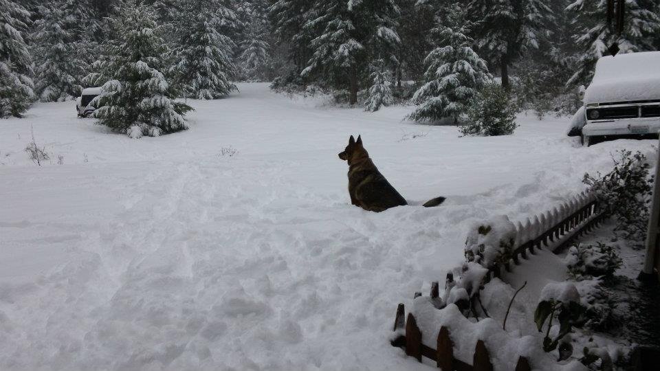 Sharon Worthington's album, Winter of 2012