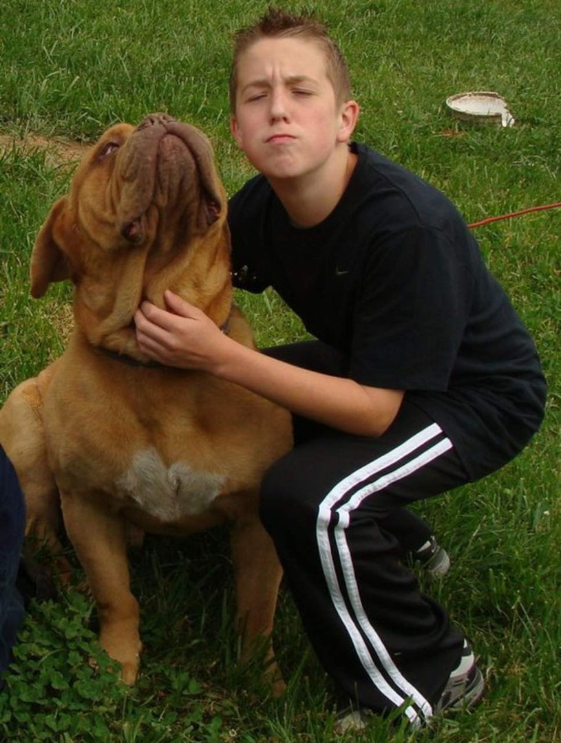 Dallen Gettling's album, Jersey and Mercedes puppies
