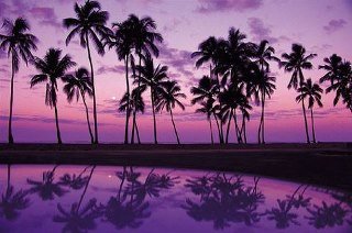 Steven Bartle's album, Cover Photos