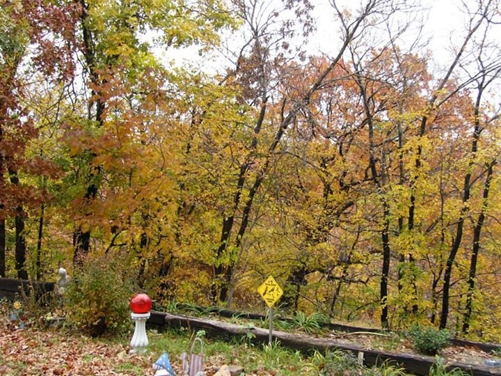 Terry Clark's album, Fall at the Clark house