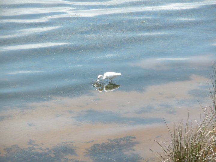 Elizabeth Twitchell's album, Outer Banks Vacation