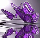 Mimi Fuller's album, Timeline Photos