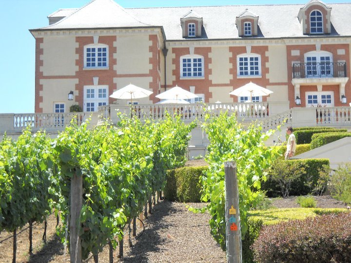 Susan Walker's album, Some Photos From Napa