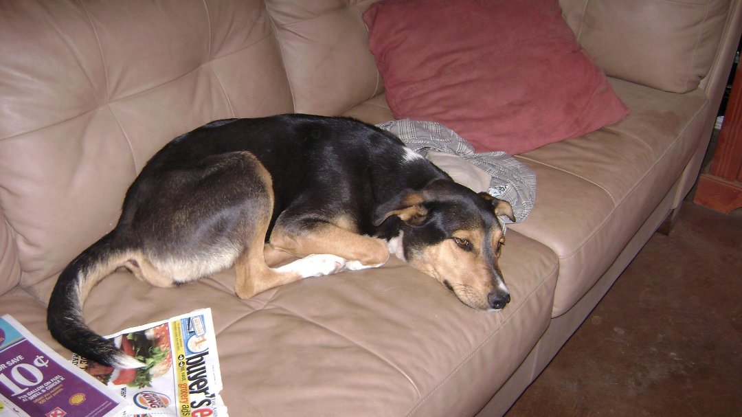 Todd Born's album, Shiloh June 2011