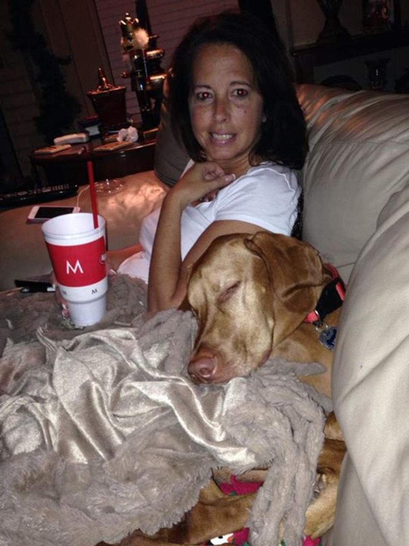 Greg Wilson's album, Mobile Uploads