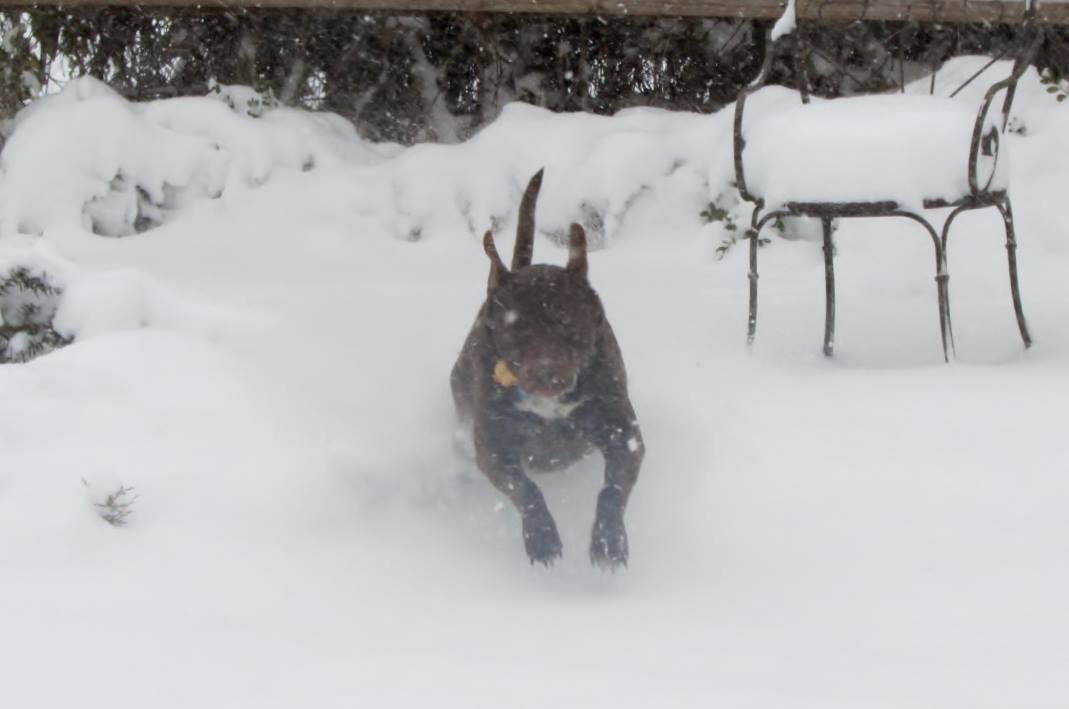 Tim Wesselowski's album, Timeline Photos
