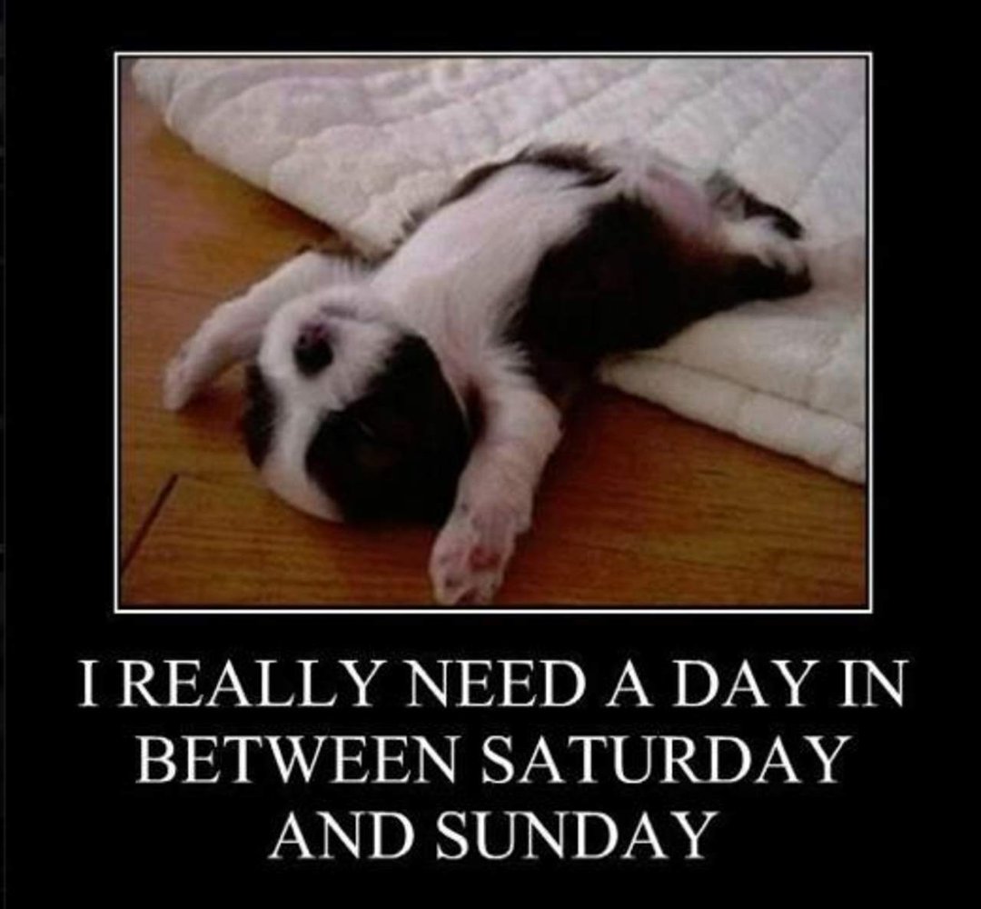 Cindy Simmonds' album, Timeline Photos