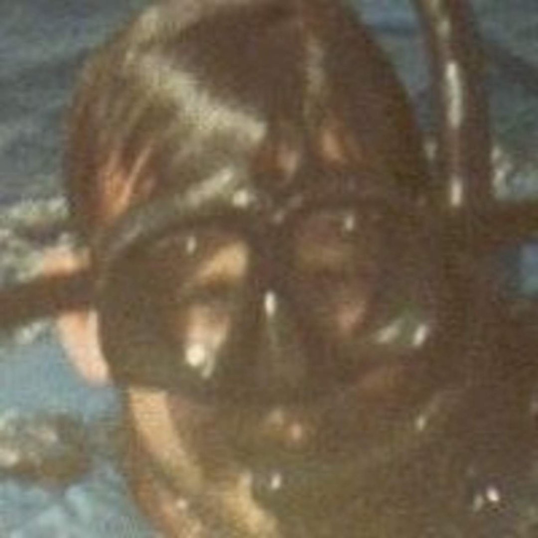 Robert Bannister's album, Profile Pictures