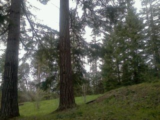 arden post's album, LG Phone Photos