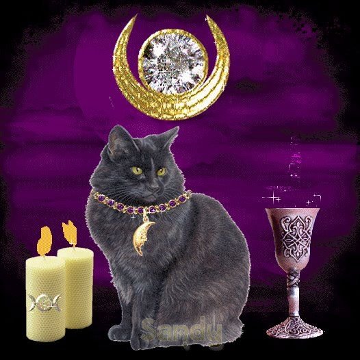 Sandi Neal's album, all halloween, gothic, hearts and roses, and whatever else i lik
