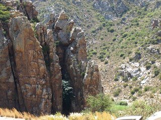 Tony Crotinger's album, Trip to Oudsthoorn